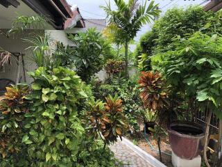 Single house for sale in the city center It is a seaside project village, Jomtien, Condotel, Thappaya, Pattaya.