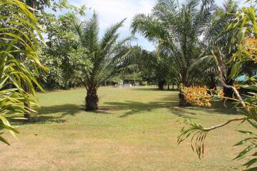 Land For Sale Huay Yai Pattaya