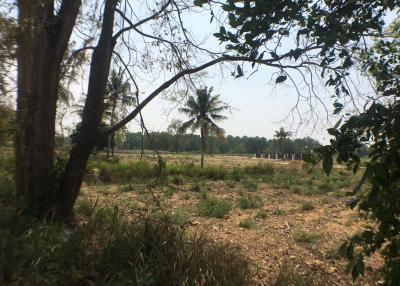 Land for sale near Mab Prachan Bay, Nong Prue, Bang Lamung. Land 5 Rai 86 Square Wah