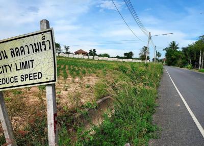 Land for sale in Pong, Bang Lamung, Chonburi Land 31 Rai 1 Ngan 56 Square Wa.