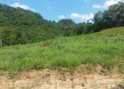 Land For Sale Silverlake Bang Saray