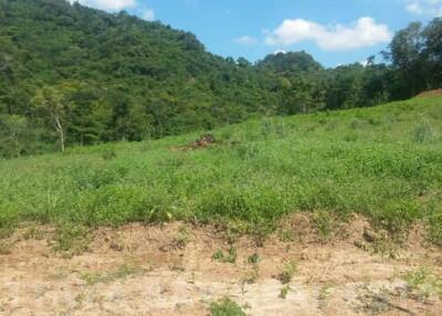 Land For Sale Silverlake Bang Saray