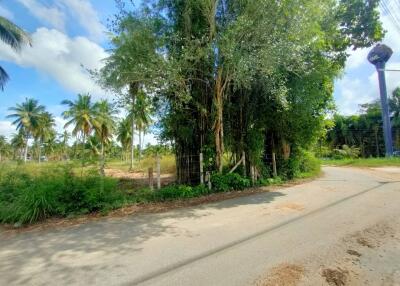 Land for sale next to concrete road, special price, Nong Chap Tao, Na Jomtien, Sattahip, Chonburi.