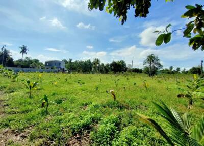 Beautiful land for sale The atmosphere of the garden house, Nong Chap Tao, Na Jomtien, Sattahip, Chonburi