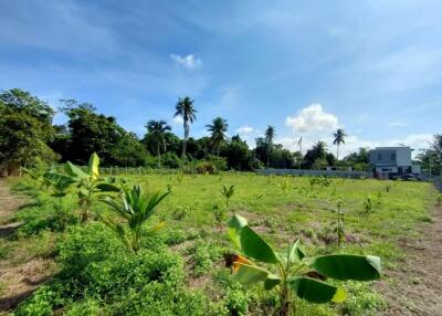 Beautiful land for sale The atmosphere of the garden house, Nong Chap Tao, Na Jomtien, Sattahip, Chonburi