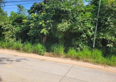 Big plot of land for sale Next to concrete road, Thung Klom, Tan Man, Nong Prue, Bang Lamung, Chonburi