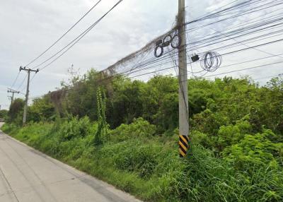 Land for sale on Khao Lam Road, near Bangsaen, Chonburi.