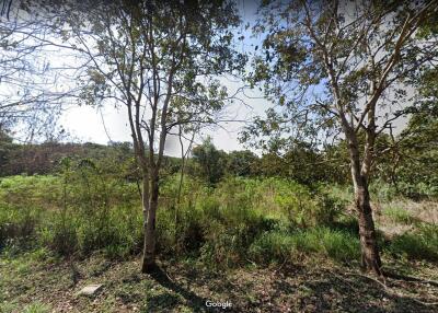 Big plot of land for sale near Wat Yan, Bang Lamung, Chonburi.