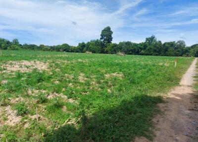 Land for sale in Nong Jub Tao, Khao Chi Chan, Na Chom Thian, Chonburi.