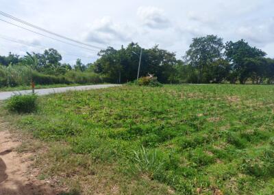 Land for sale in Nong Jub Tao, Khao Chi Chan, Na Chom Thian, Chonburi.