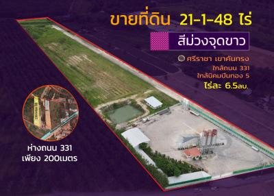 Land for sale, purple plot, white spots, Khao Khan Song, Sriracha, Chonburi.