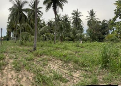 Land reclamation Wide front, next to Takhian Tia Road, Bang Lamung, Chonburi