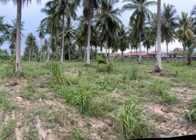 Land reclamation Wide front, next to Takhian Tia Road, Bang Lamung, Chonburi