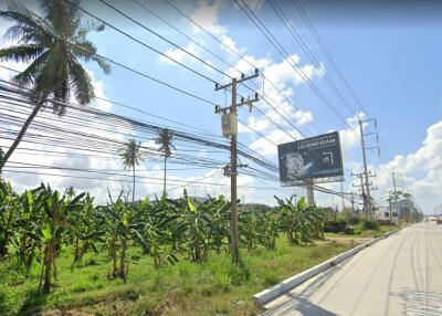 Beautiful land for sale on Sukhumvit road, big plot, good location, Na Jomtien, Sattahip, Chonburi.