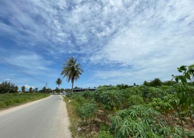 Land for sale Na Jomtien, Sattahip, Chonburi Area 2 Rai Sale 3.7 million baht per rai