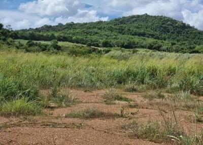 Land for sale Khao Chi Chan, Bang Saray, Sattahip, Chonburi big discount best location best price