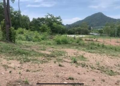 Land for sale Na Jomtien, Sattahip, Chonburi  Land 14 Rai Selling 10 million baht per rai.