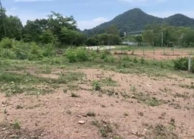 Land for sale Na Jomtien, Sattahip, Chonburi  Land 14 Rai Selling 10 million baht per rai.