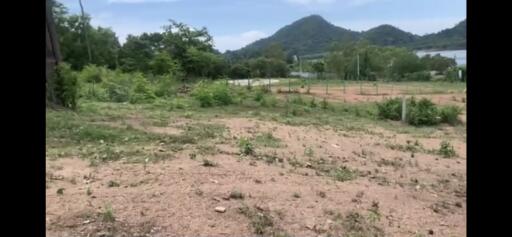 Land for sale Na Jomtien, Sattahip, Chonburi  Land 14 Rai Selling 10 million baht per rai.
