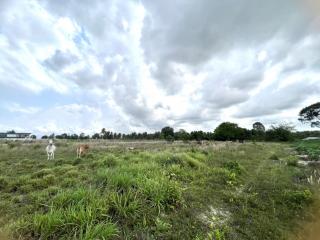 #Land for sale Takhian Tia, Bang Lamung, Chonburi