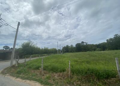 #Land for sale 2 rai of land Nong Jub Tao, Na Chom Thian, Chonburi