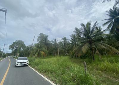 Land for sale Land 14 Rai Nong Jub Tao, Na Chom Thian, Chonburi