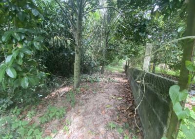 Land for sale Land 1 rai 1 ngan 30 square wah (2120 sq m) Nong Jub Tao, Na Chom Thian, Chonburi