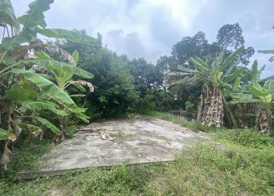 Land for sale Land 1 rai 1 ngan 30 square wah (2120 sq m) Nong Jub Tao, Na Chom Thian, Chonburi