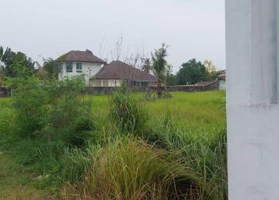 1 rai of land for sale Location: Nong Jub Tao - Na Chom Thian Price 5,000,000 million baht.