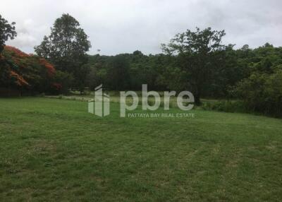 Large plot Land for sale in Ban Amphur