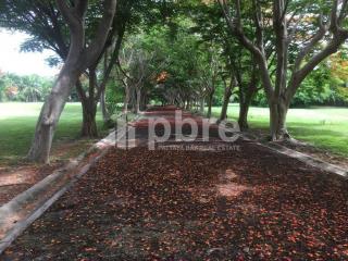 Large plot Land for sale in Ban Amphur