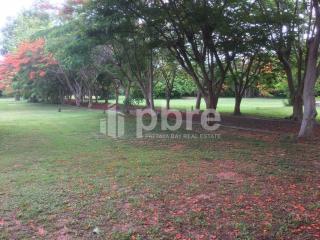 Large plot Land for sale in Ban Amphur