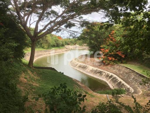 Large plot Land for sale in Ban Amphur