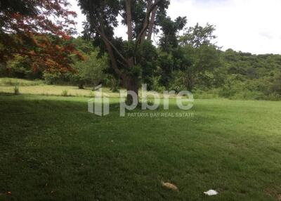 Large plot Land for sale in Ban Amphur