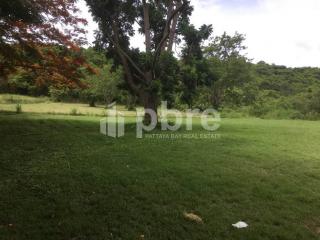 Large plot Land for sale in Ban Amphur