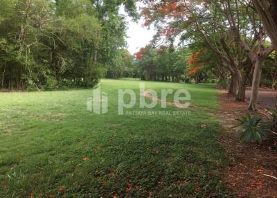 Large plot Land for sale in Ban Amphur