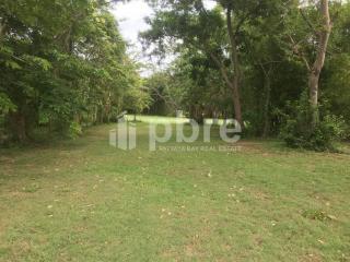 Large plot Land for sale in Ban Amphur