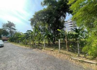 " Beautiful land for sale, good location, Pratumnak Hill, Pattaya. 4 plots 944 square wah "