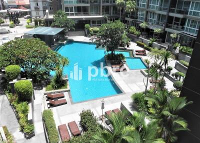 Apus Condominium Central Pattaya For sale