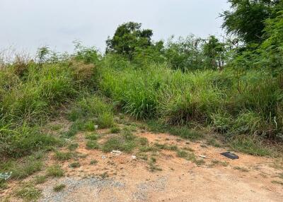 1 rai 44 sqwah.  Land for sale in a prime location near the sea in Pattaya.#Walk only 150 meters to the sea
