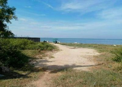 1 rai 2 ngan Land beachfront Bang Lamung, Pattaya. very beautiful!! Sell ​​/ rent land on the beach, width 62 meters.