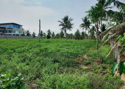 2rai 170 sqwh . 6.5 million per rai,  Land for sale Map Prachan, Pattaya.