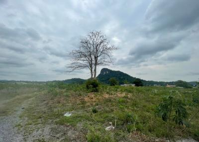 39 Rai 72  Square Land Khao Chi Chan, Sattahip, Chonburi For Sale 8.5M Per rai