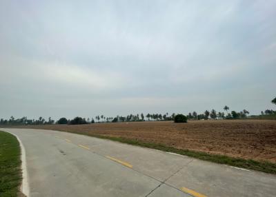 4 Rai Land  Khao Mai Kaew Pattaya For Sale 5000000 bat Per Rai