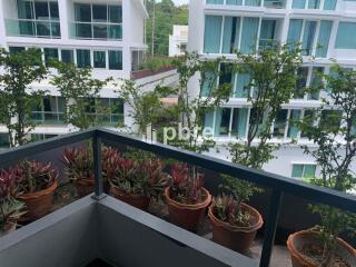 Tropicana Condo Pratumnak For sale