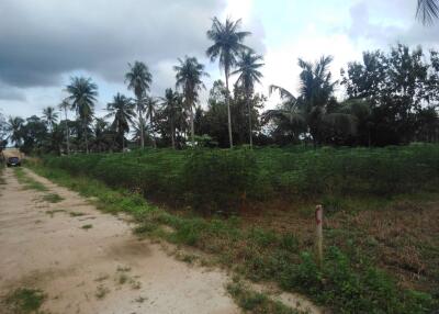 1 Rai 1 Ngan  Land in Huai yai Pattaya.