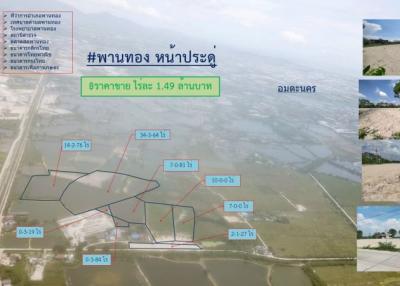 77-3-51 Rai   Land in  Na Pardo  Phanthong,   Chonburi  / Selling  1.49 Million Baht per rai