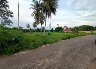 2 rai 1 ngan 60 sq.wa. Land for sale  Huai yai Pattaya for sale 1.1M  per 100 sqwah