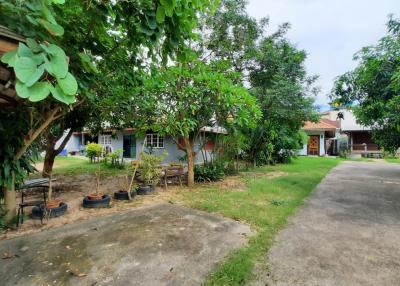 Land and buildings for sale  Garden and Resort Pattaya