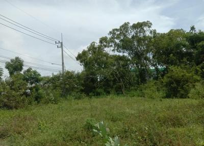 Sale 18 rai Land near motorway-Bangphra nong khang khok Chonburi